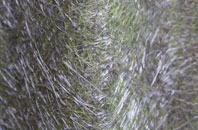 Birgham fibreglass roof work